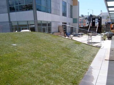 Metal Fabrication San Francisco — Grass lawn in South San Francisco, CA