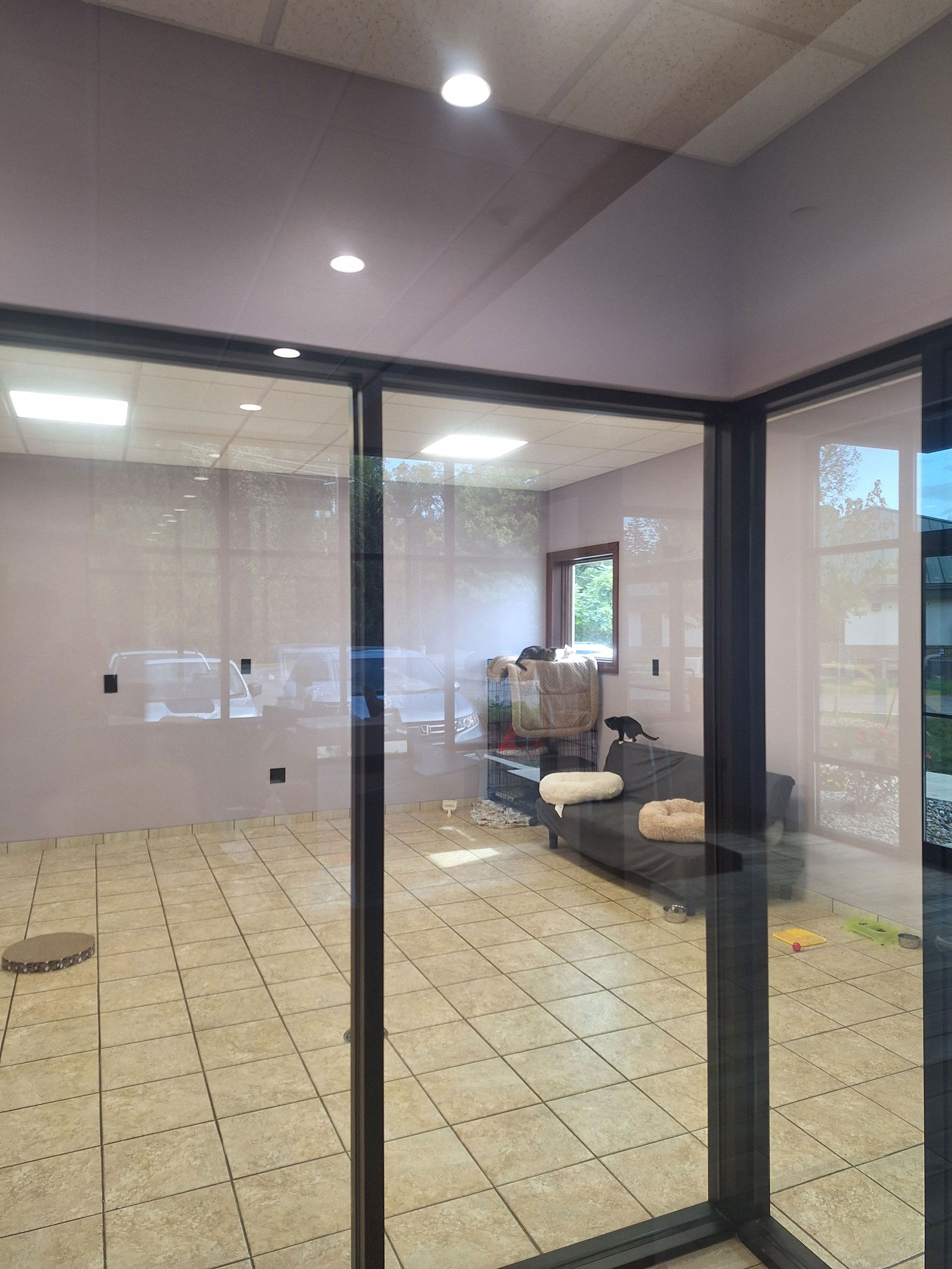 A room with a lot of windows and a couch in it