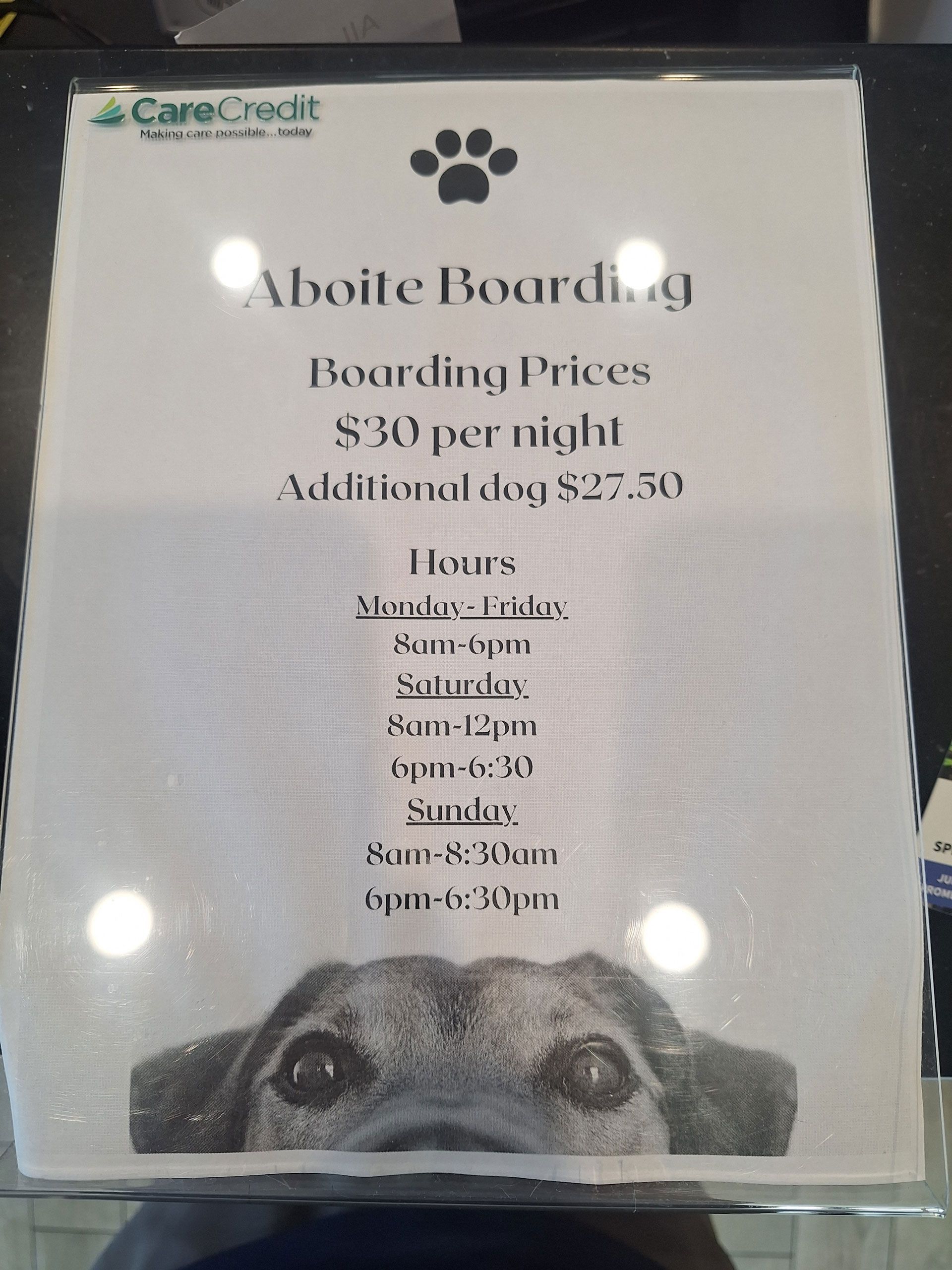 A white board with a picture of a dog on it
