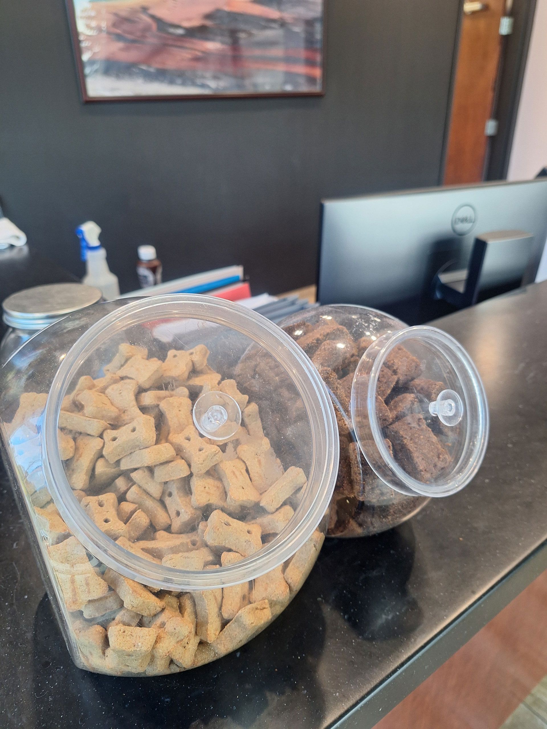 Two jars of dog treats are sitting on a counter.