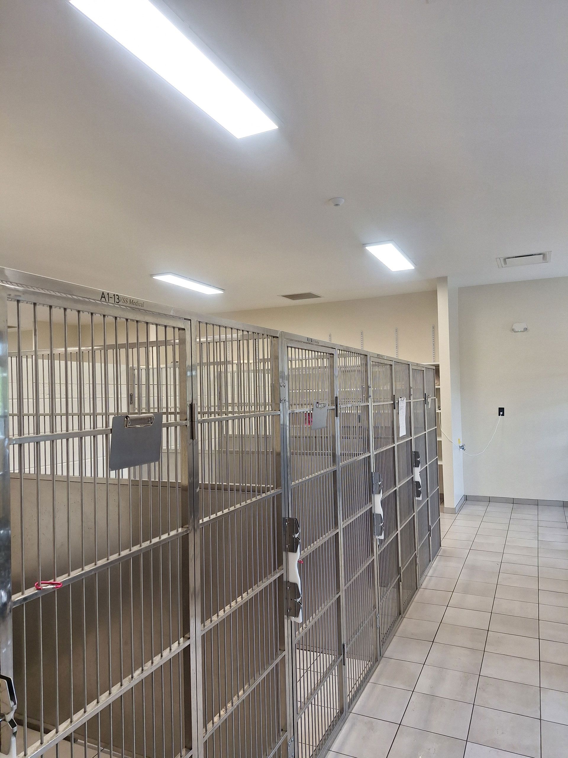 A room with a row of stainless steel prison bars
