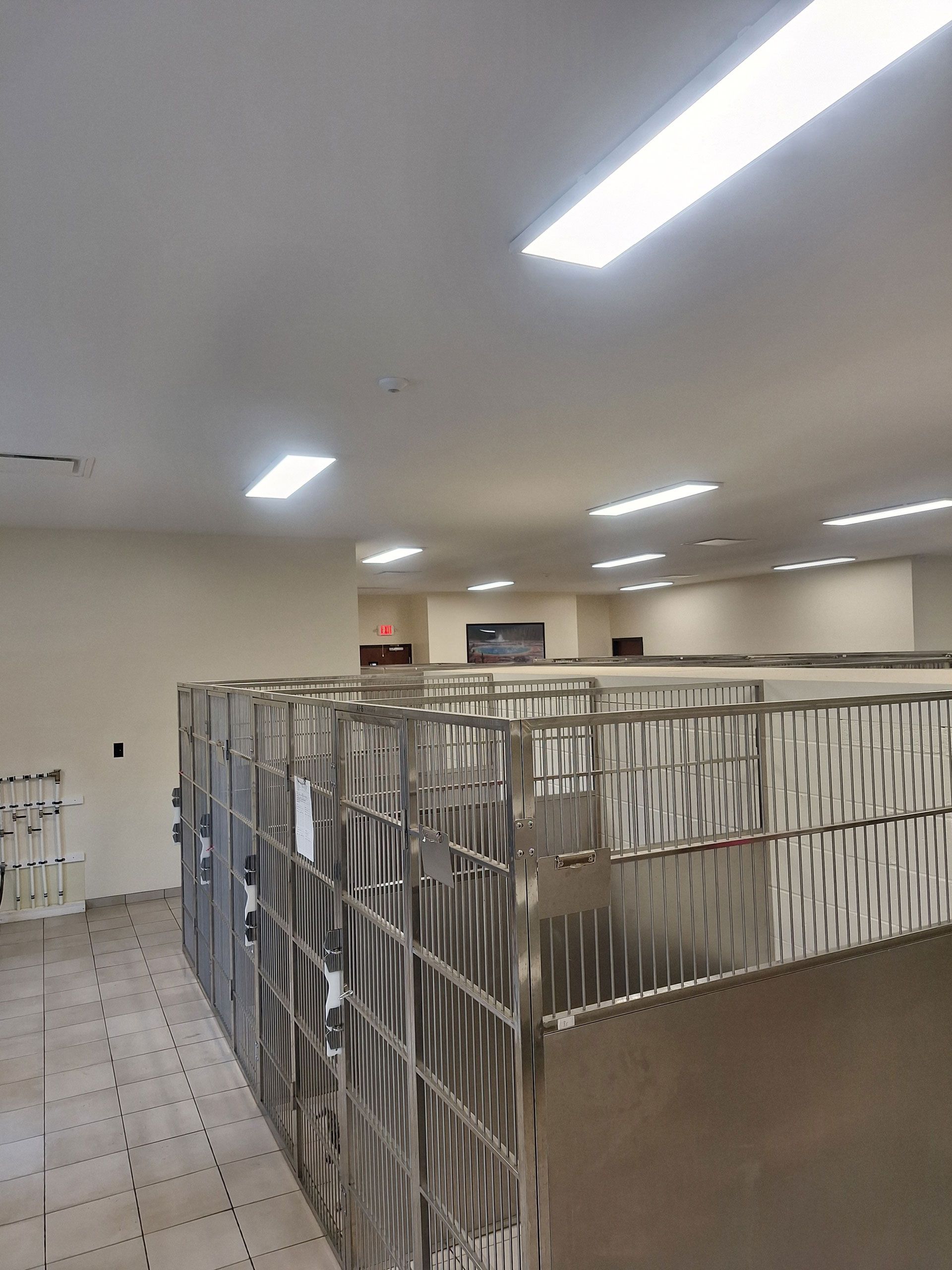 A large room with a lot of cells in it