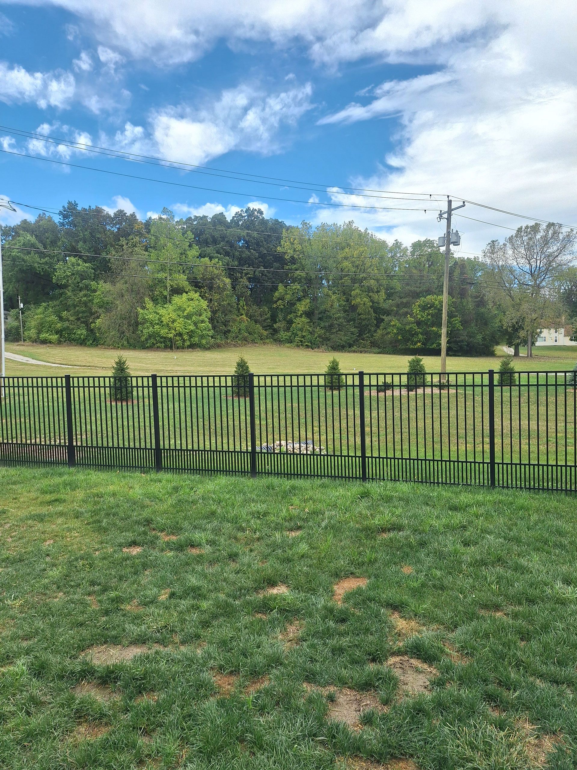 A fence surrounds a grassy field with trees in the background.