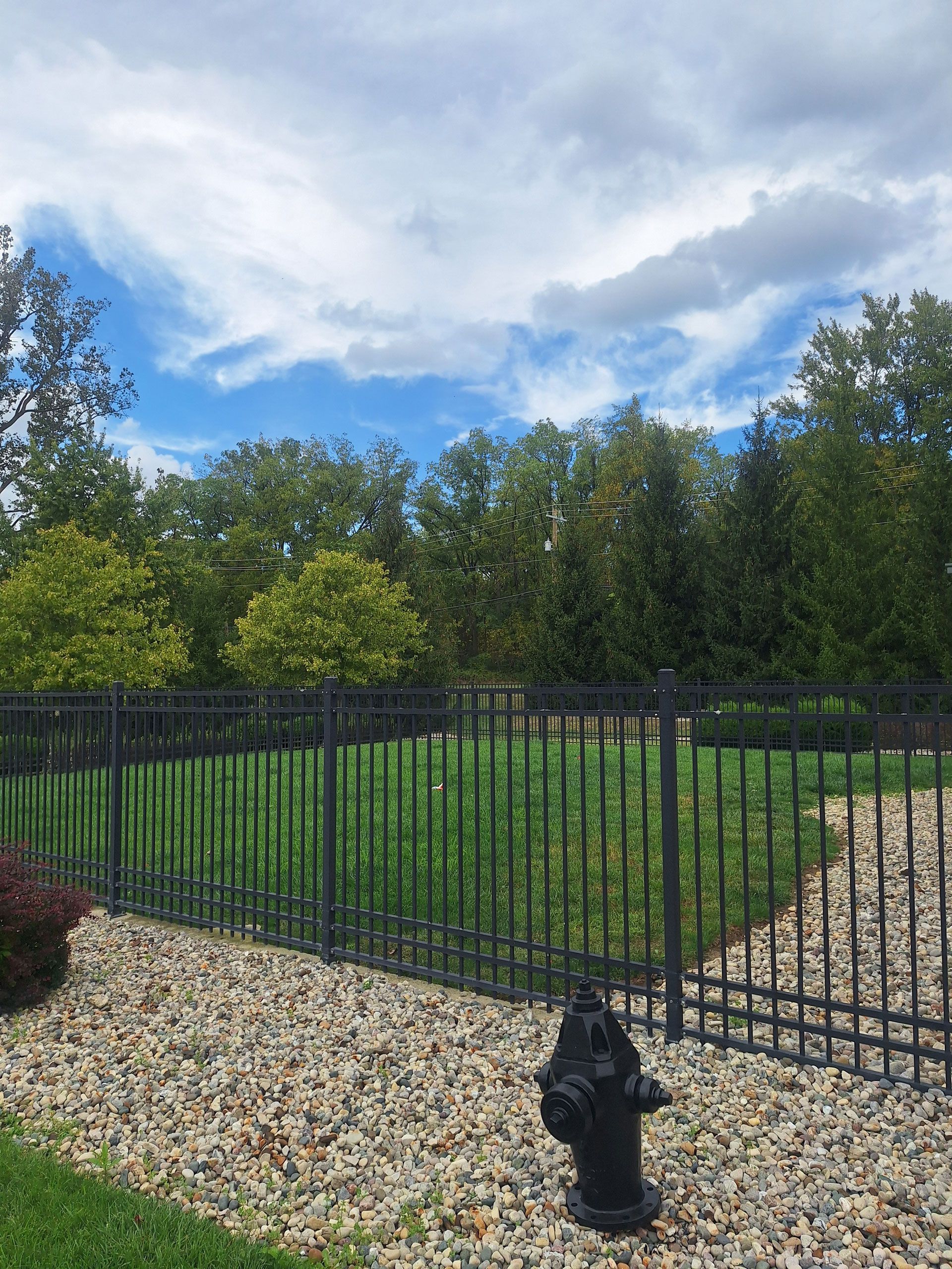 A fire hydrant is sitting in front of a fence in a yard.