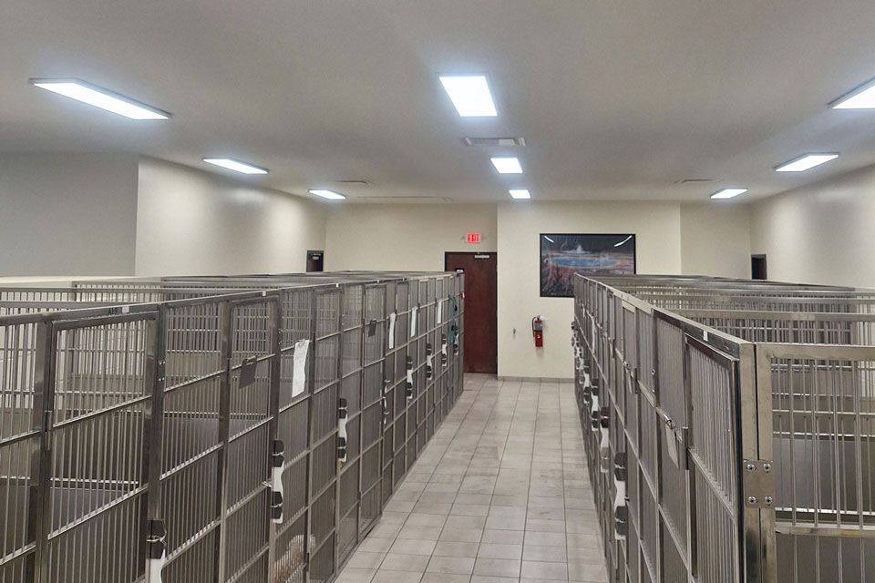 A row of cage kennels in a building with a fire extinguisher on the wall.