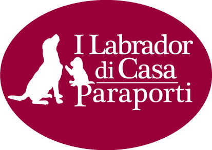 Casa Paraporti - Allevamento labrador a Pavia