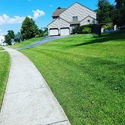 Well maintained lawn with driveway