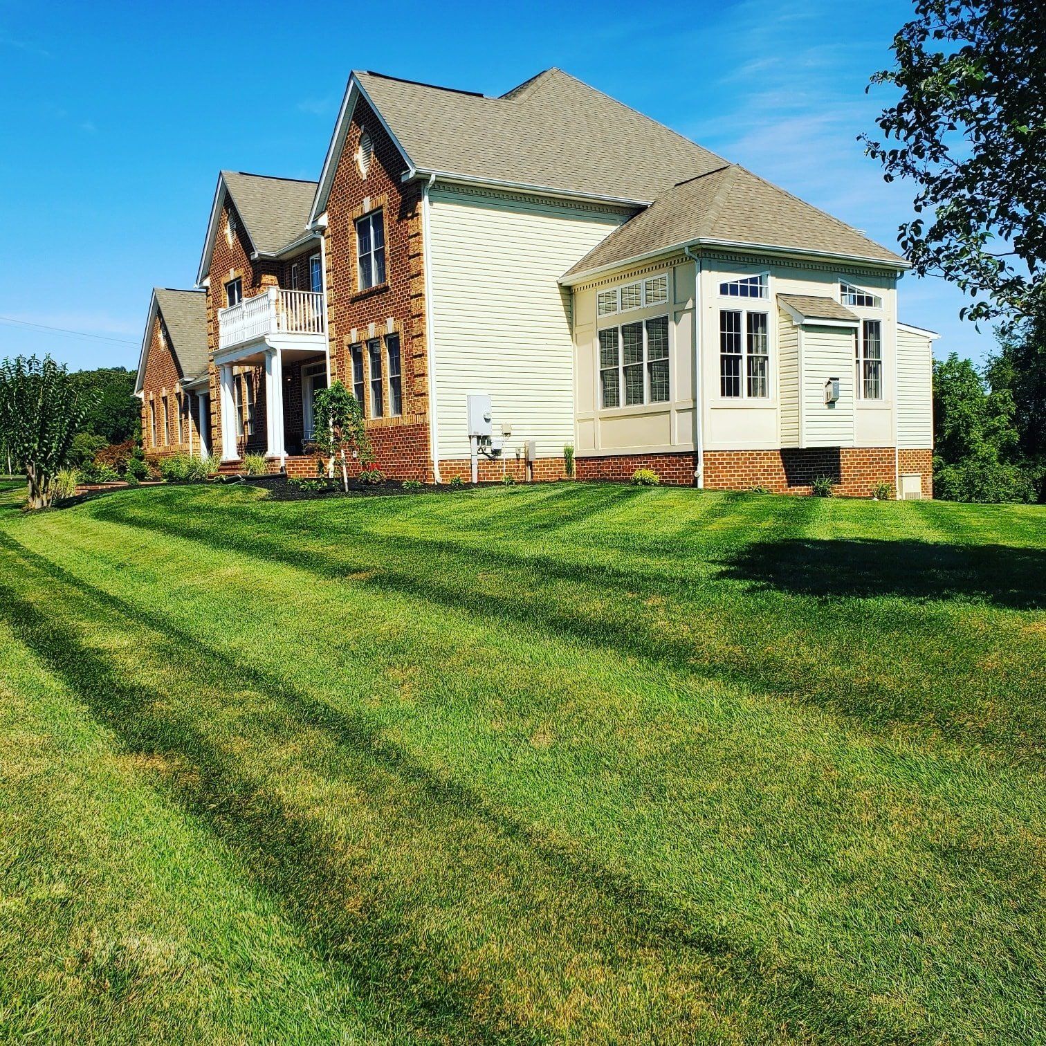 Well maintained lawn in front of a residential area