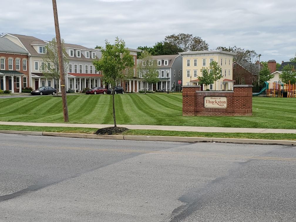 Freshly mown grass lawn in front of a residential area