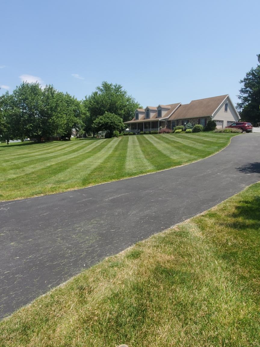 Large greenfield with driveway