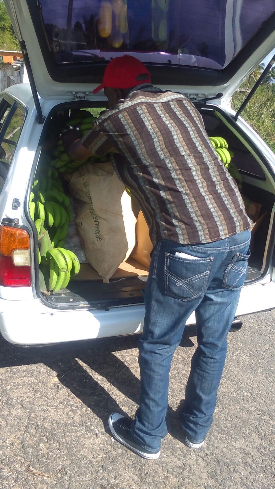 Community Food Distribution