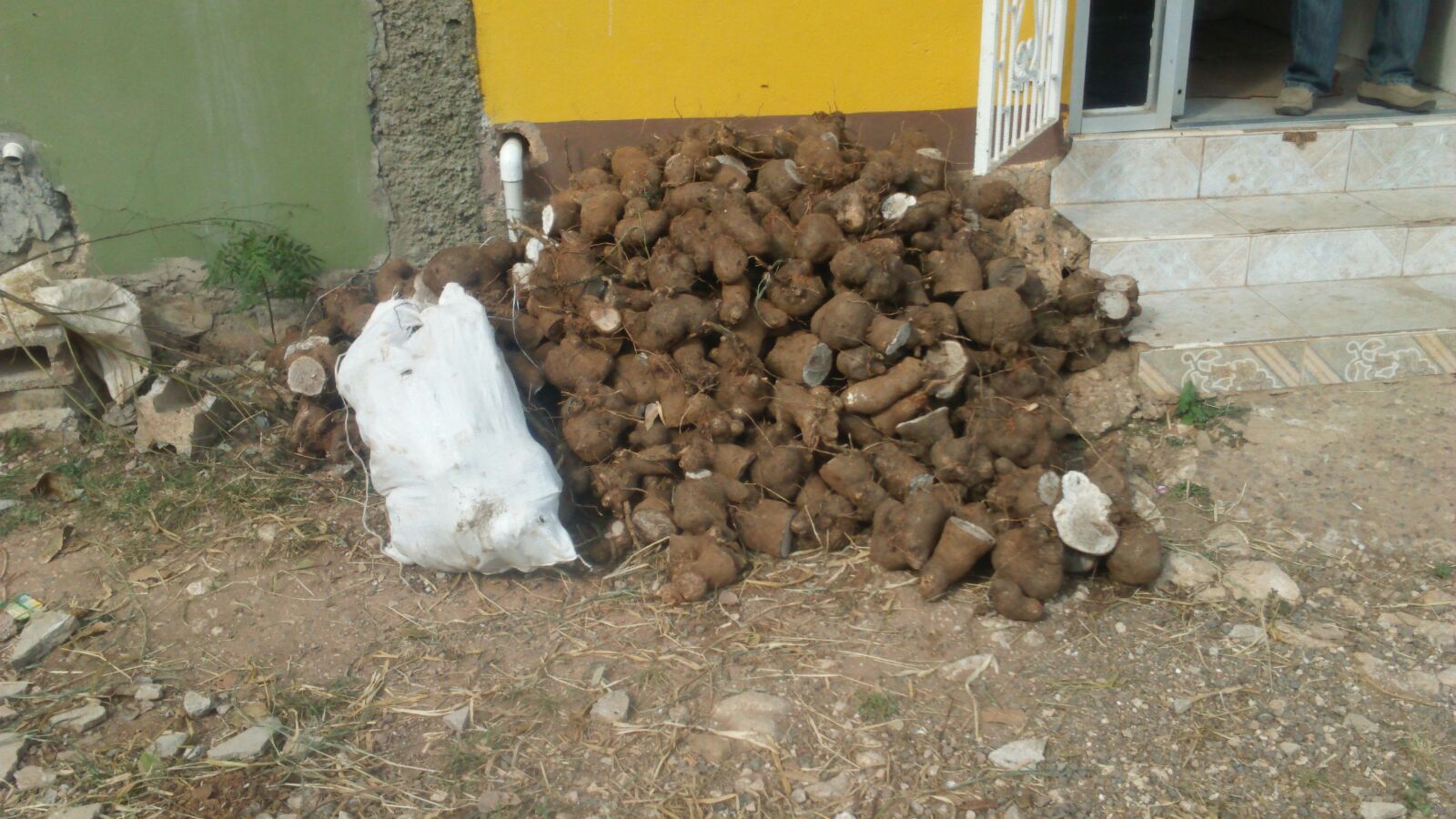 Community Food Distribution