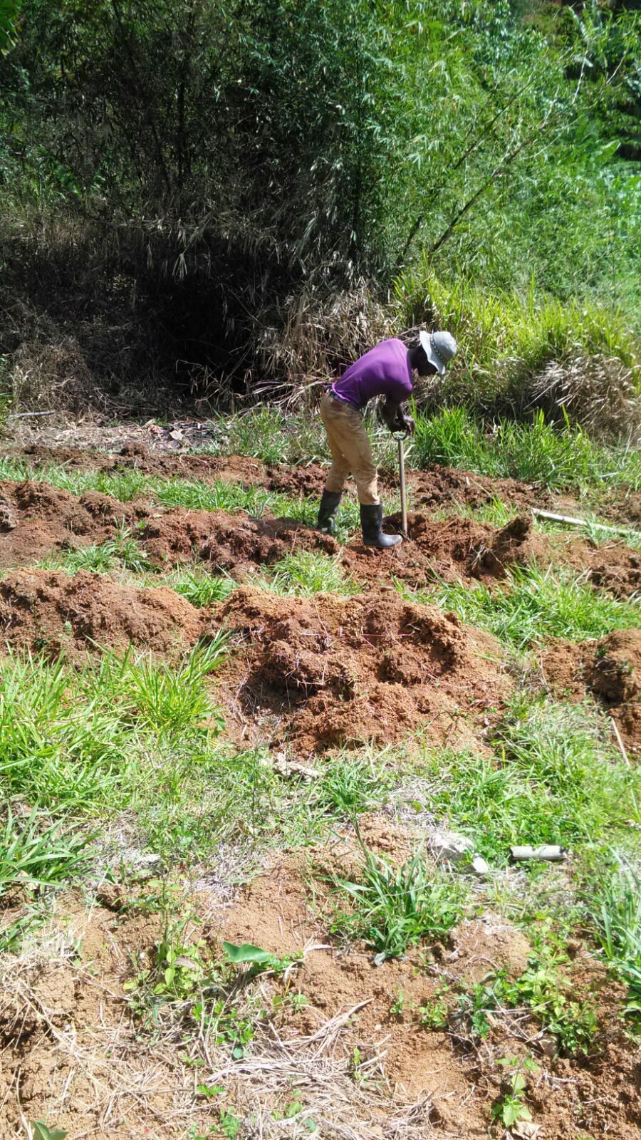 Community Farmers Assisting With Crop Planting on Behalf of Genesis Outreach for Agriculture Provision