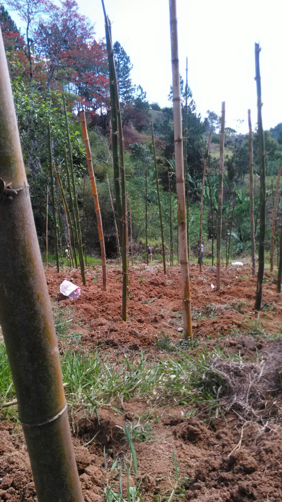 Genesis Outreach Ministries International