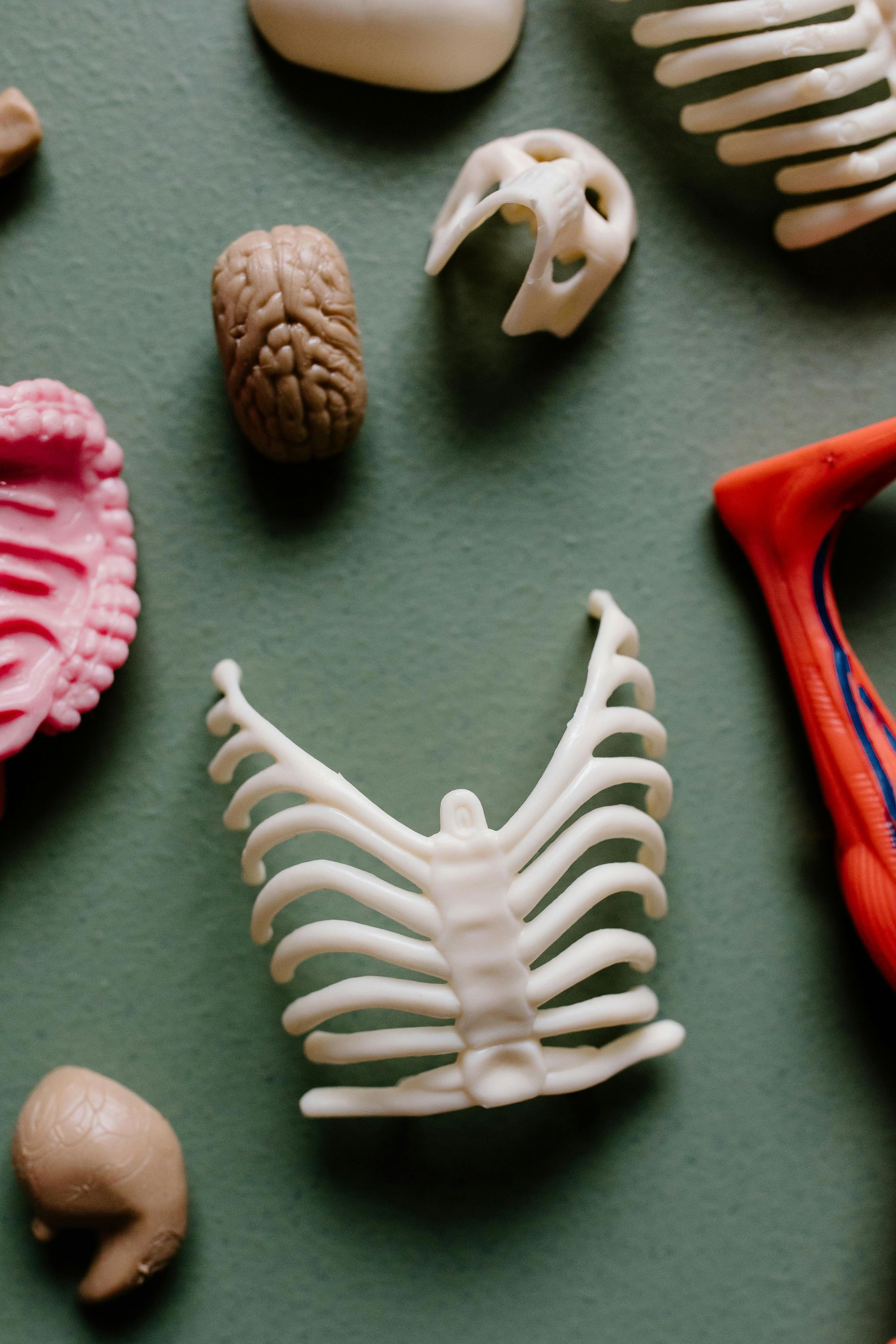 Assorted colorful ceramic and shell shapes arranged on a green background, centered on a white ribbed piece