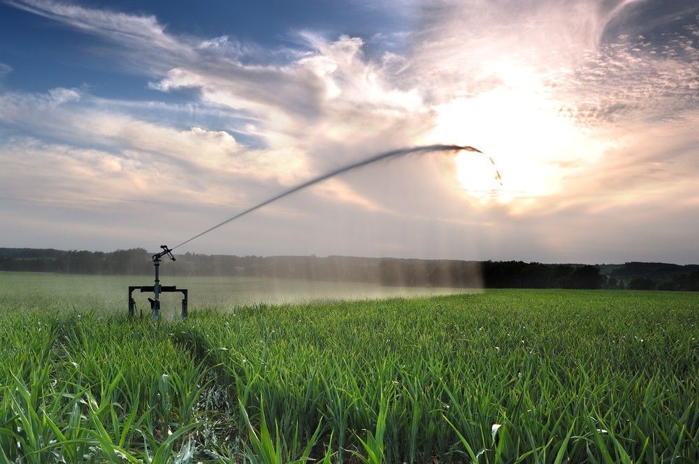 A Sprinkler is Spraying Water on a Lush Green Field — Wade N Water In Walcha, NSW