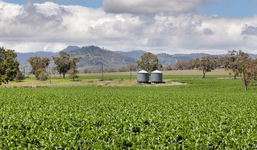 There Are Two Silos in the Middle of a Field — Wade N Water In Quirindi, NSW