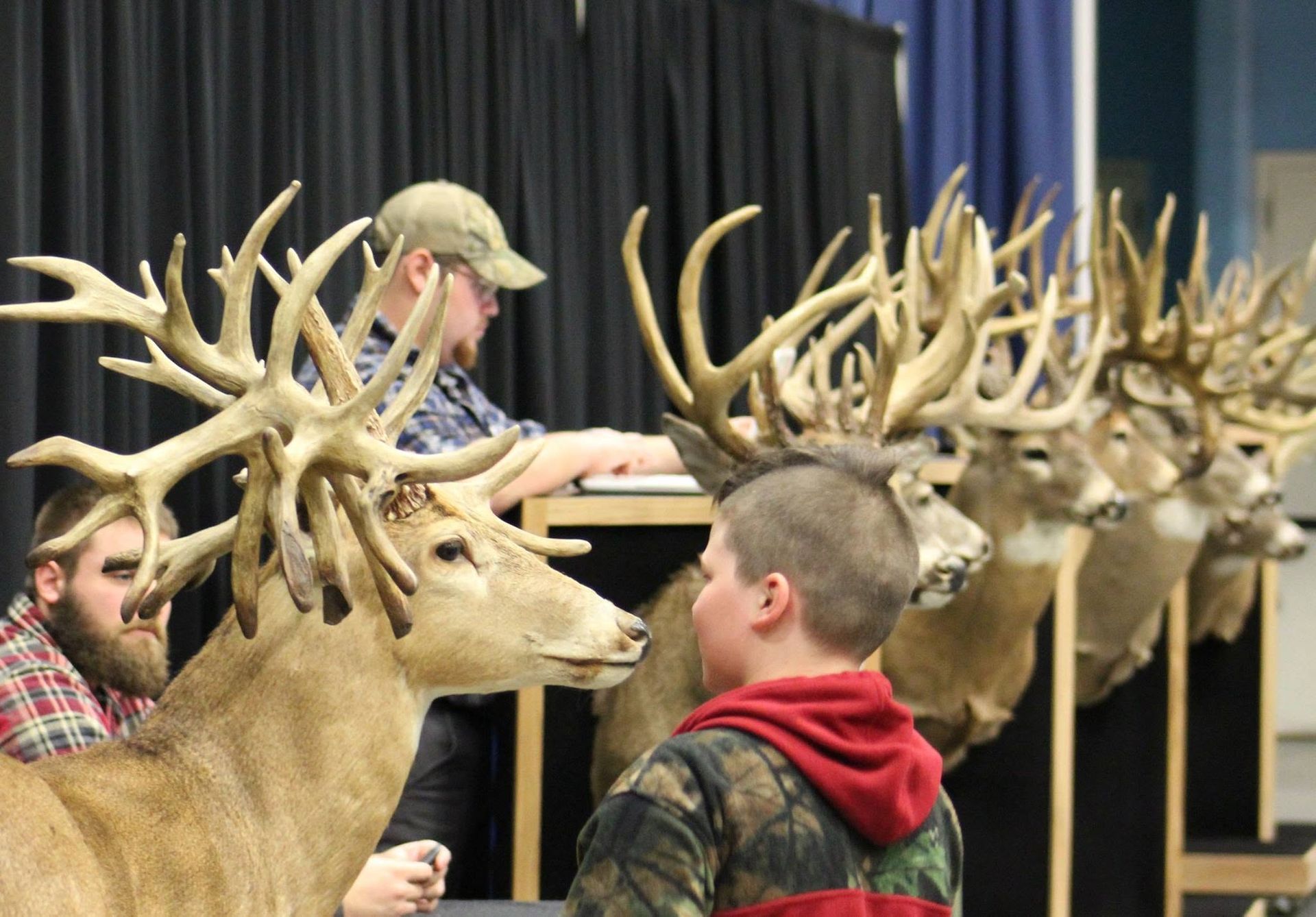 A boy stands in front of a row of stuffed deer