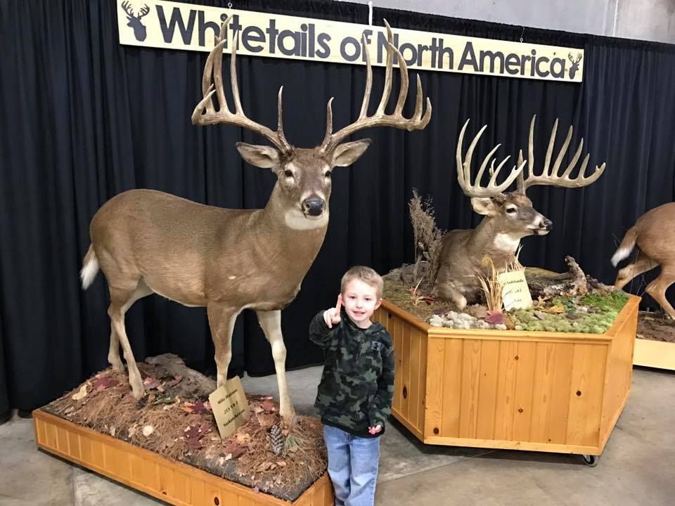 A young boy is standing in front of two stuffed deer.