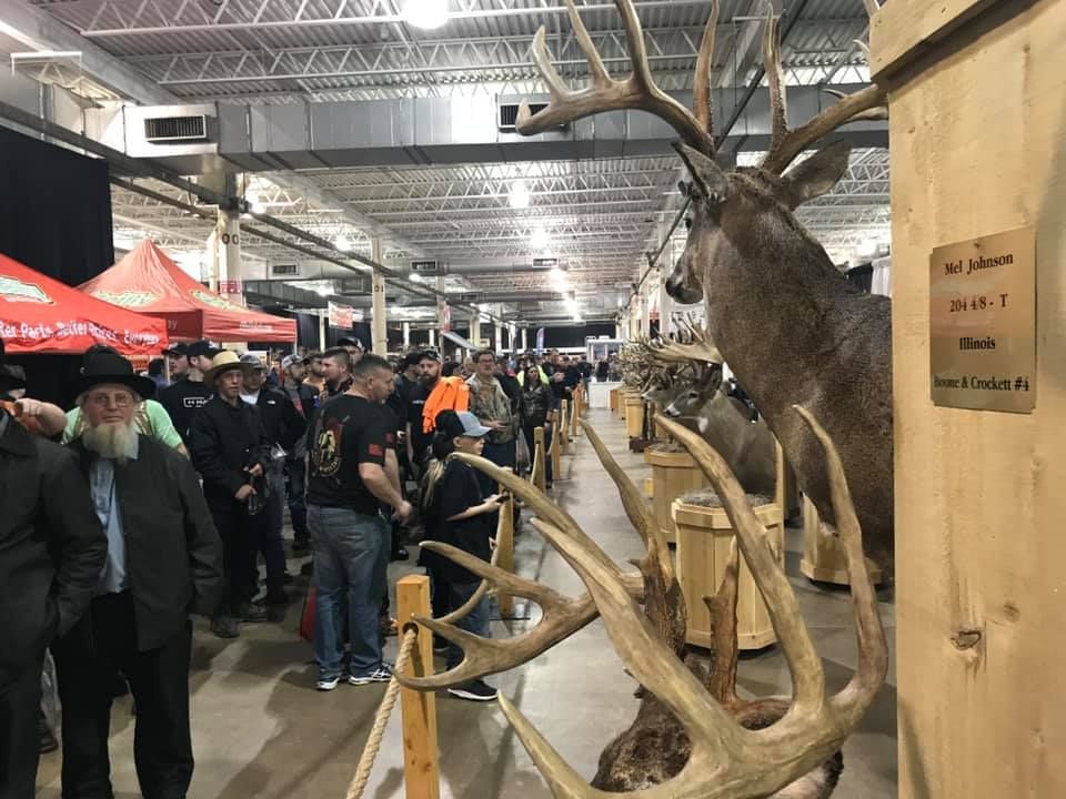 A group of people are standing around a display of deer antlers.