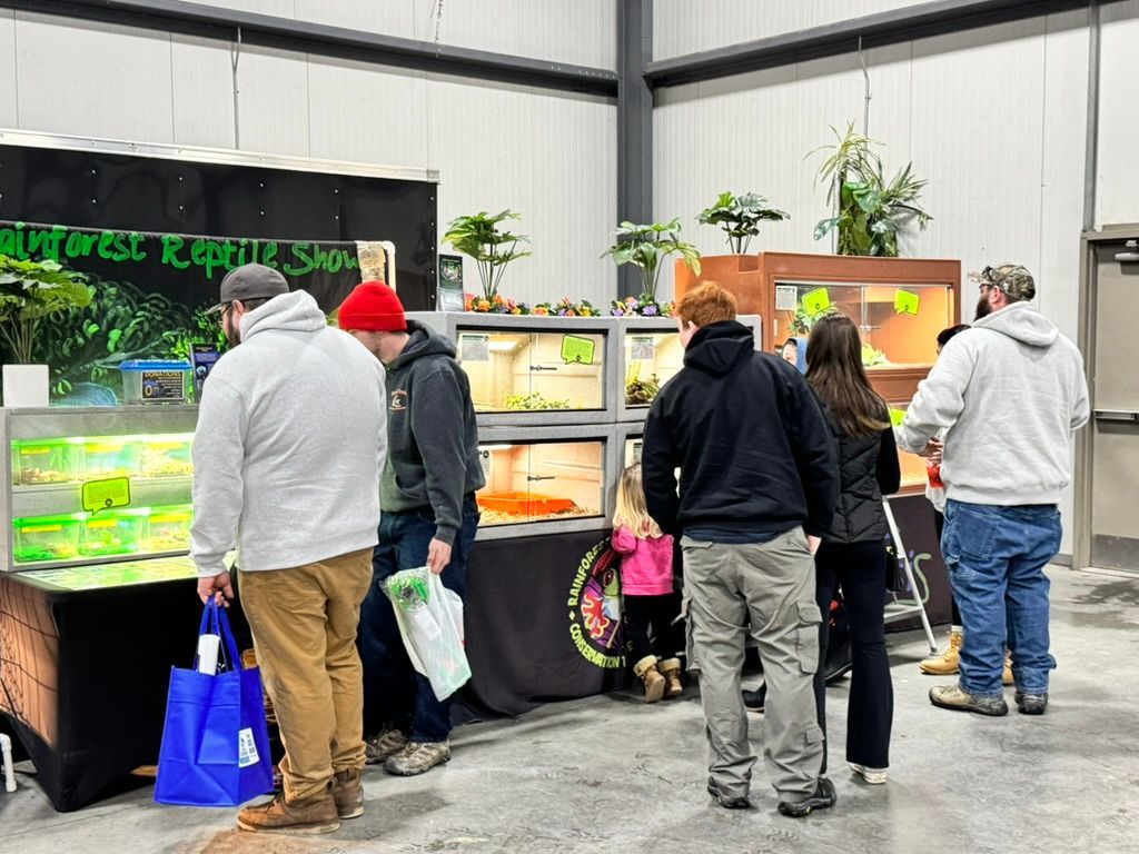 People browse reptile enclosures at a convention booth.