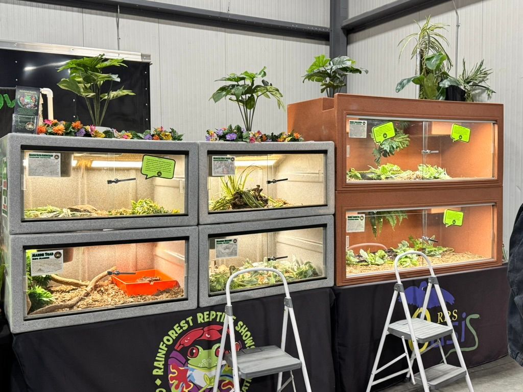 Reptile enclosures with snakes, plants, and signs displayed on a table.