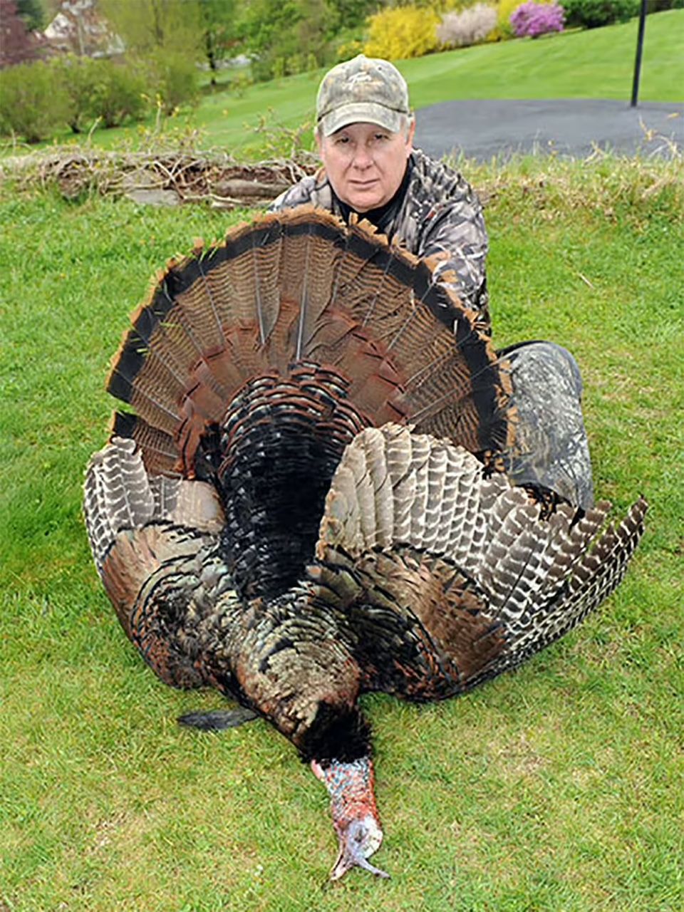 Man kneels with a large wild turkey displayed on grass. Turkey's tail feathers are fanned. Man wears camouflage and a hat.
