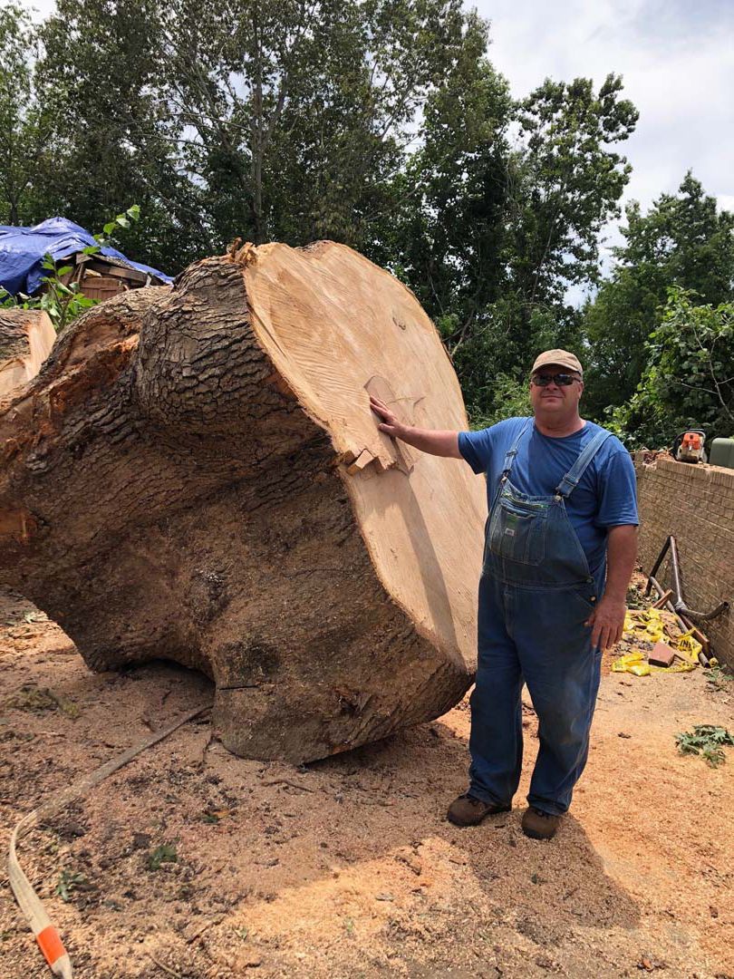 Man in overalls next to a massive, freshly cut tree trunk in an outdoor setting.