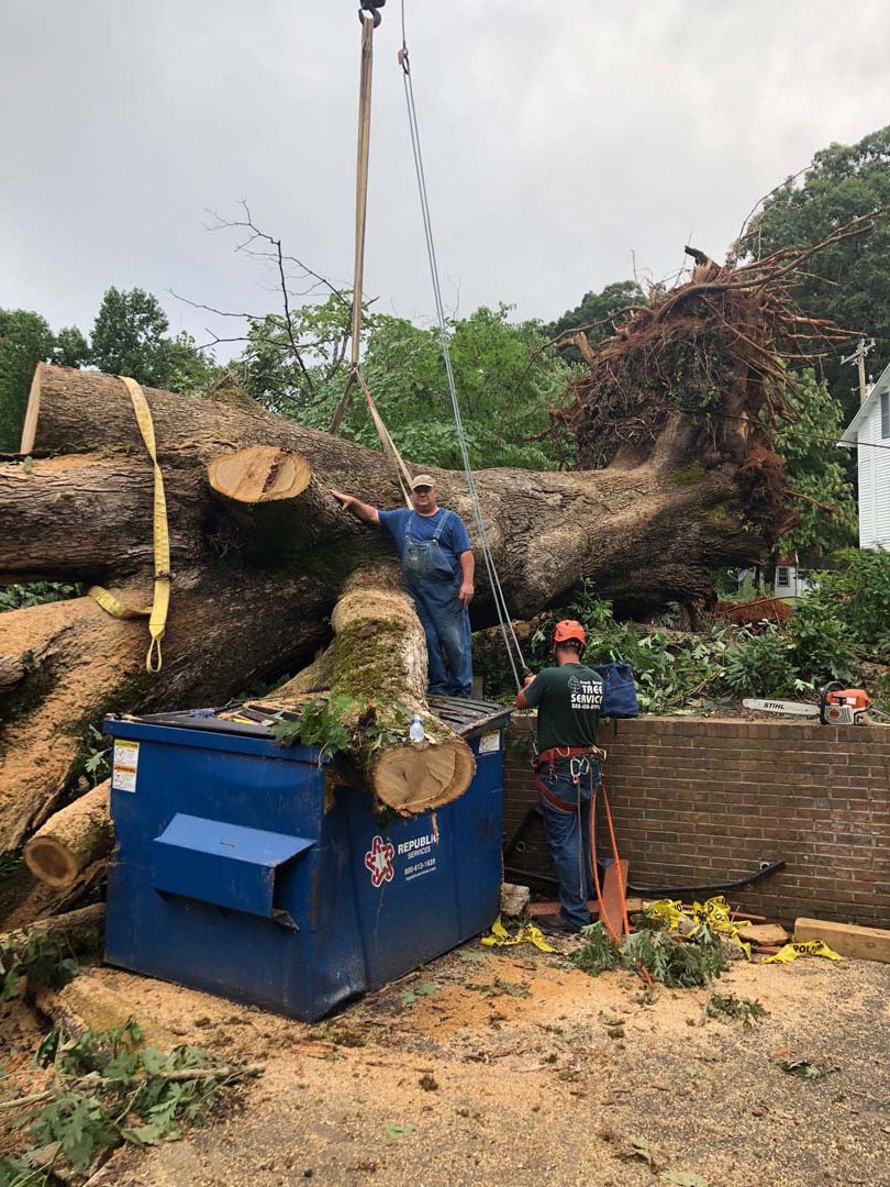 Two men loading cut tree logs into a dumpster with a crane. One man stands on the logs.