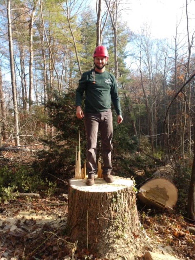 Man in green shirt and red hardhat stands on a tree stump in a wooded area.