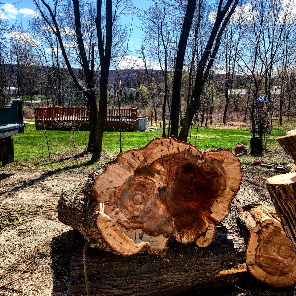 Chip Truck — Chopped Tree Log in Poughkeepsie, NY