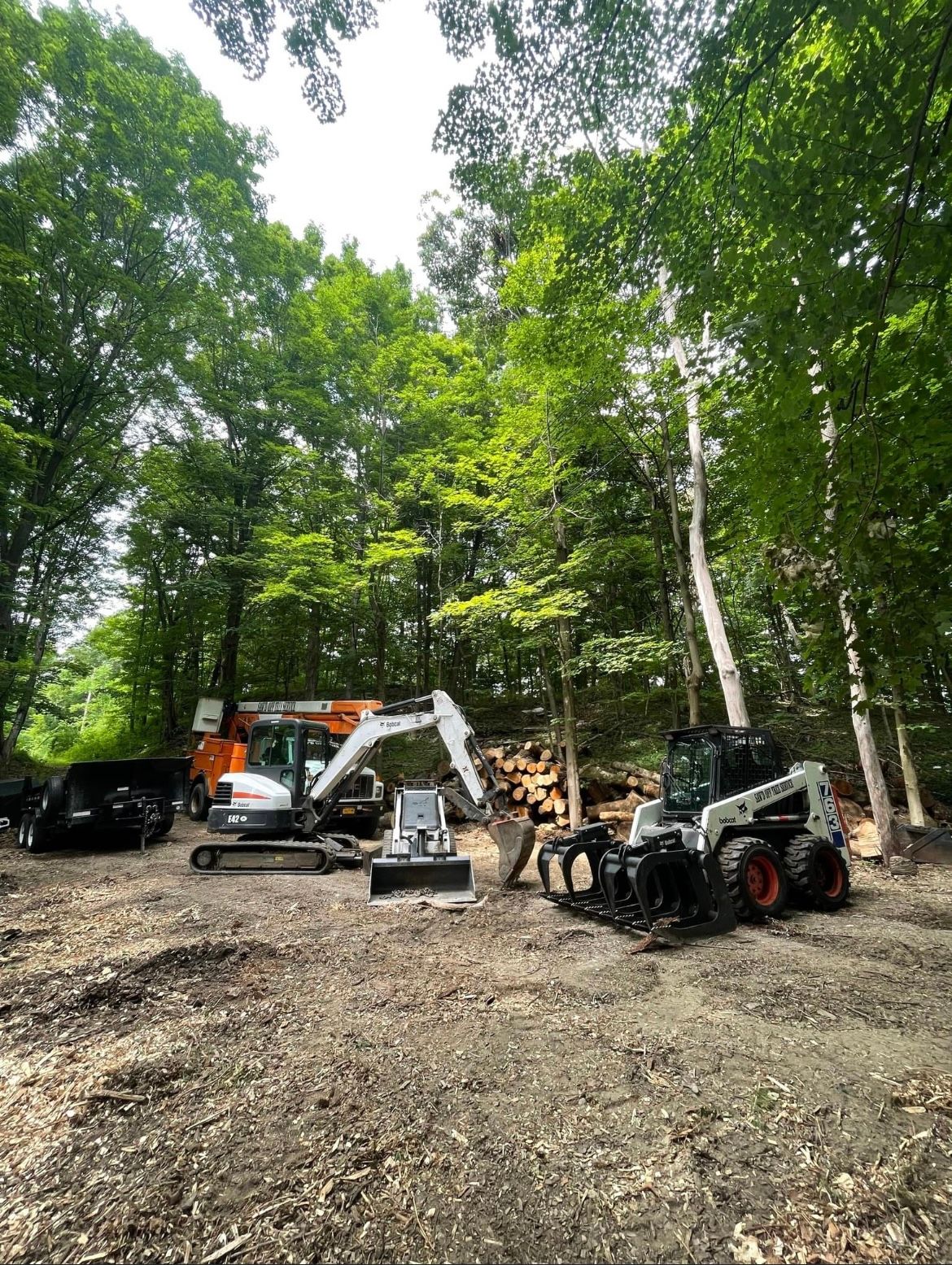 Tree Trimming — Bulldozer Clearing an Area in Poughkeepsie, NY