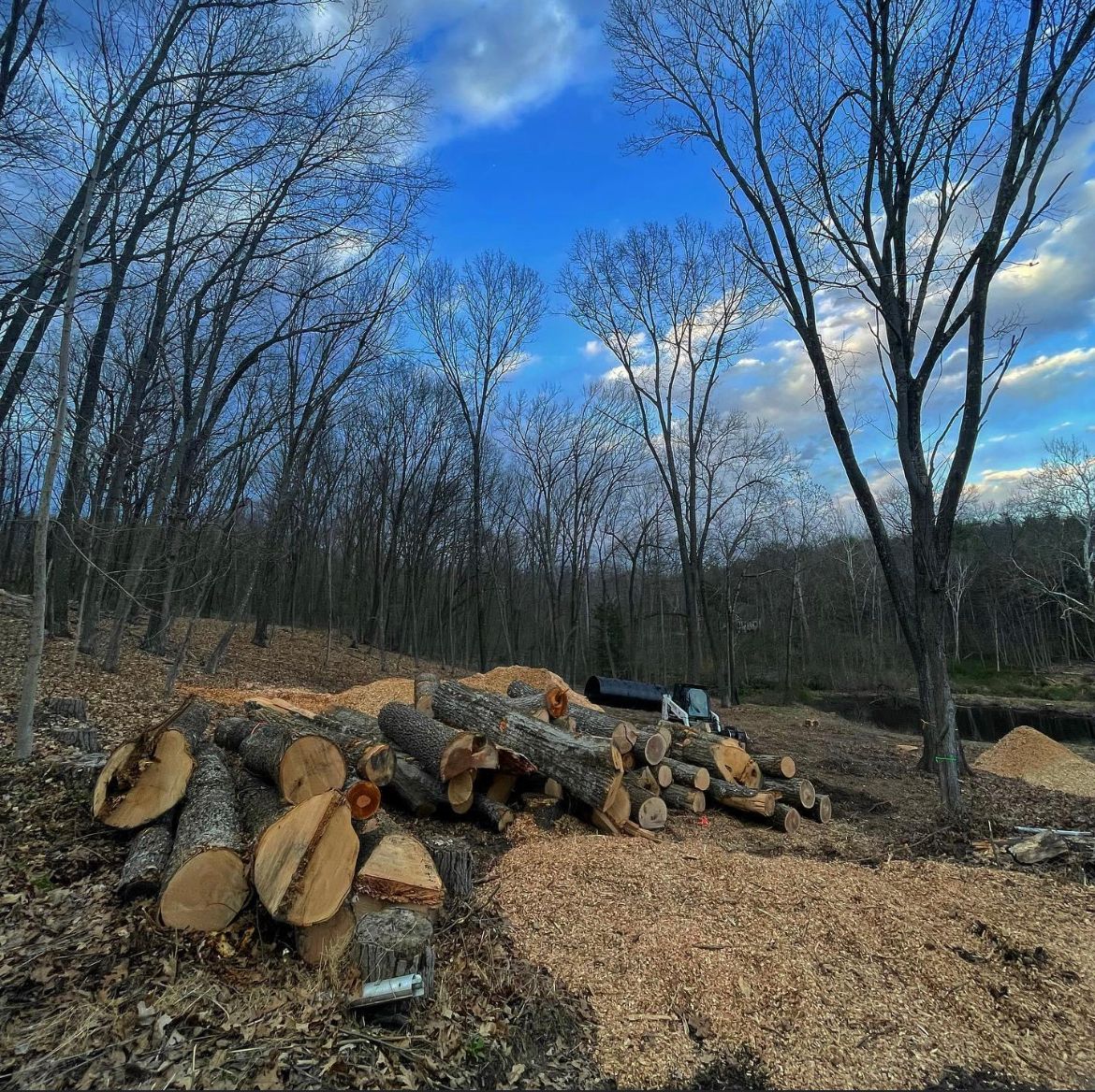 Storm Damage — Stacked Tree Logs in Poughkeepsie, NY