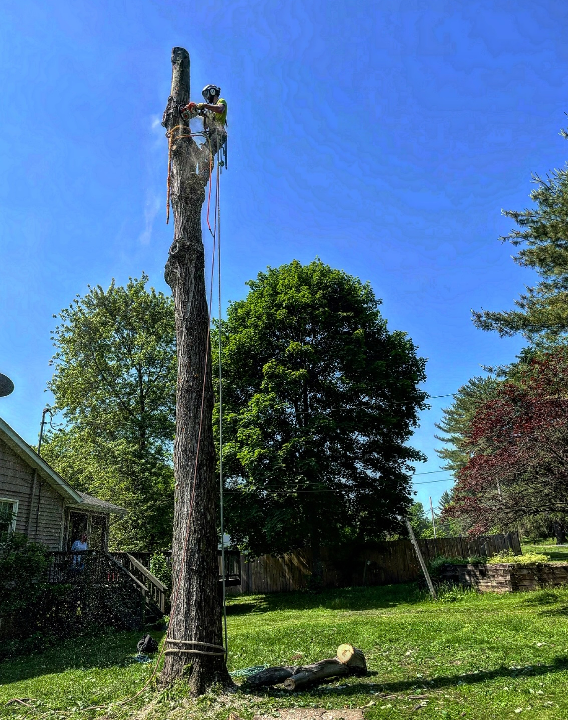 Tree Removal — Tree Stump in Poughkeepsie, NY