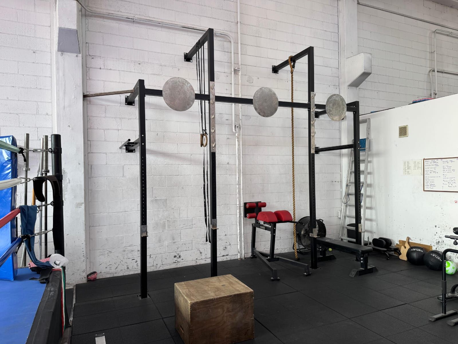 allenamento palestra