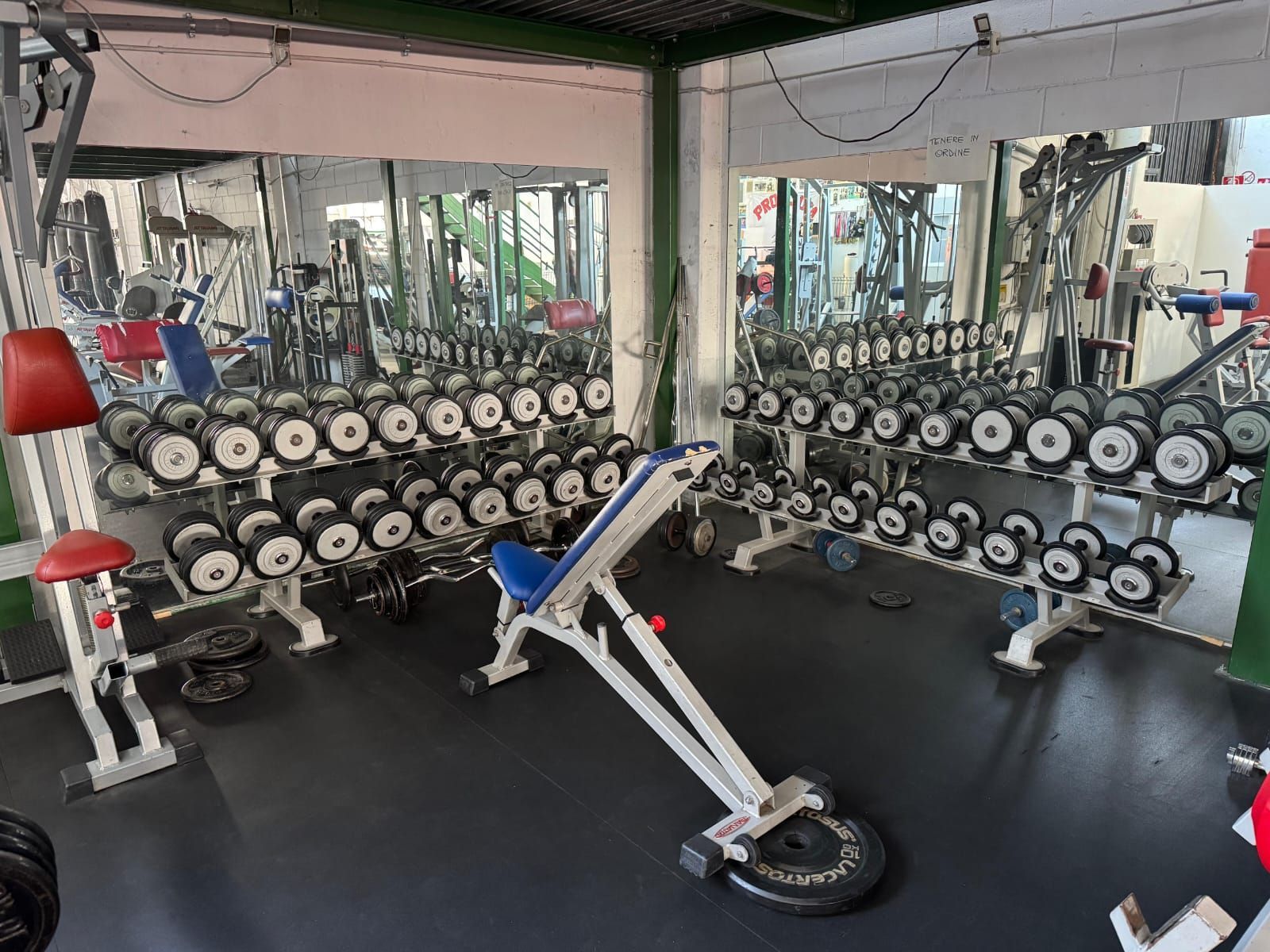 pesi da palestra