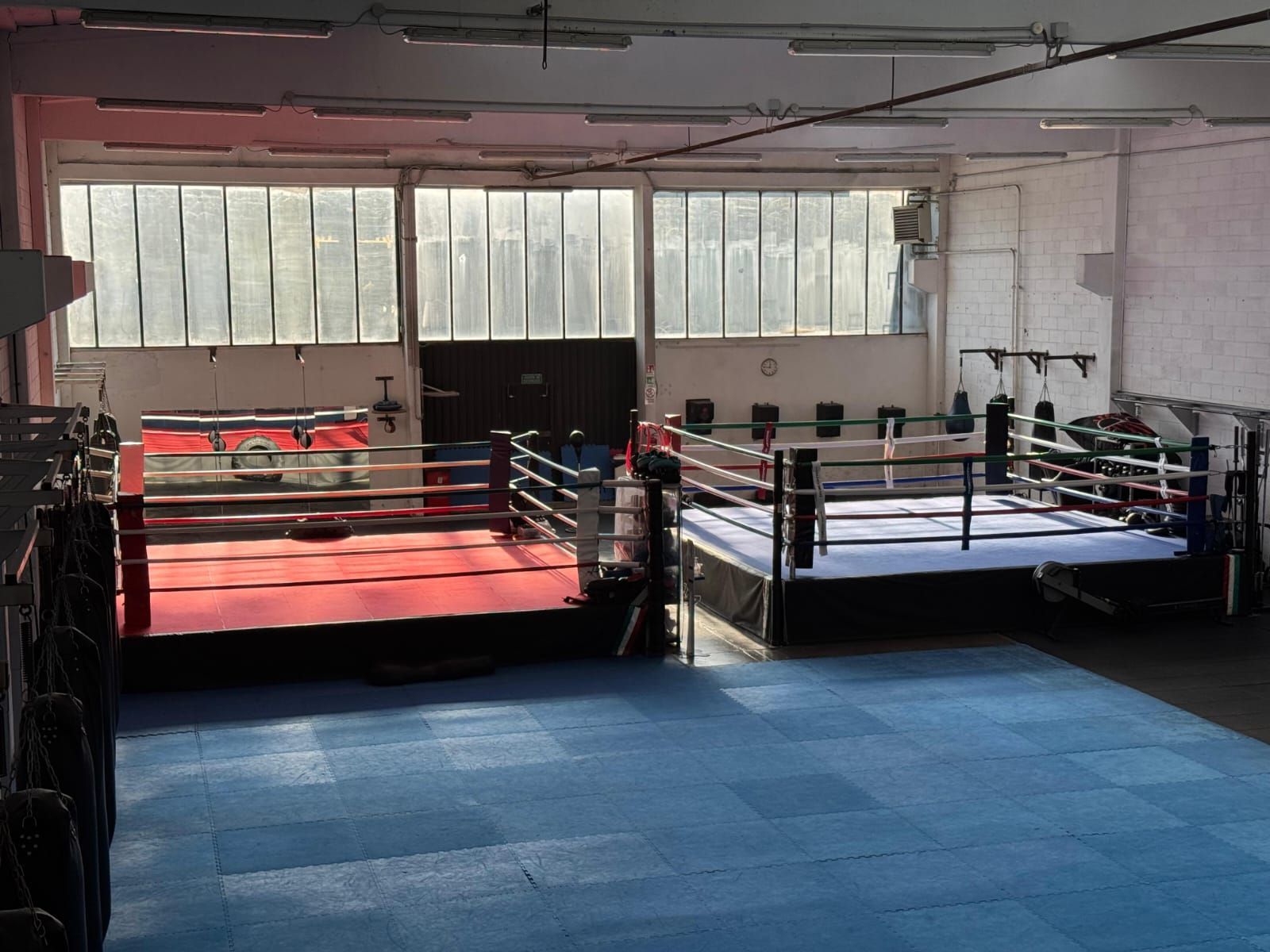 ring boxe