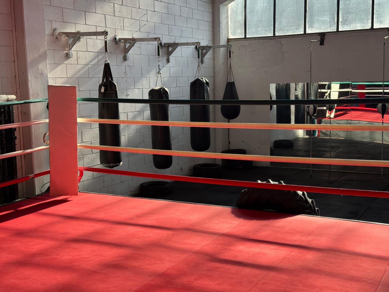 sacchi da boxe