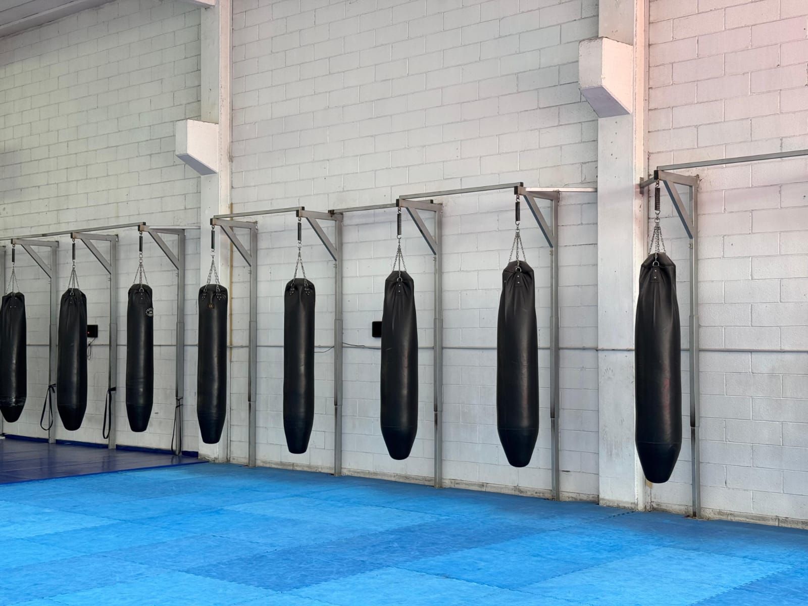 sacchi da kick boxe