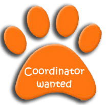 Coordinator Wanted