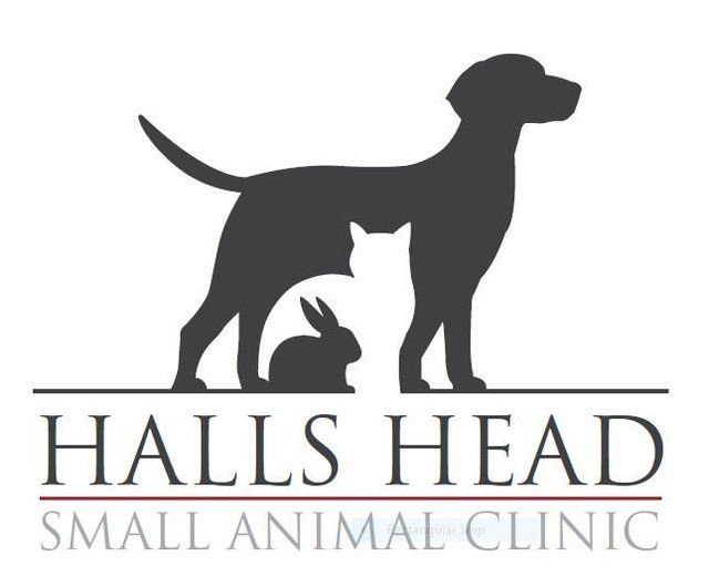 Halls Head Small Animal Clinic