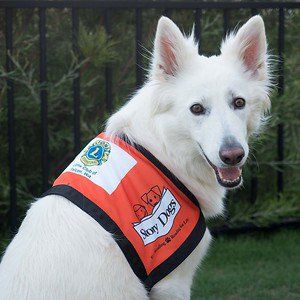 A service dog that works with literacy charities