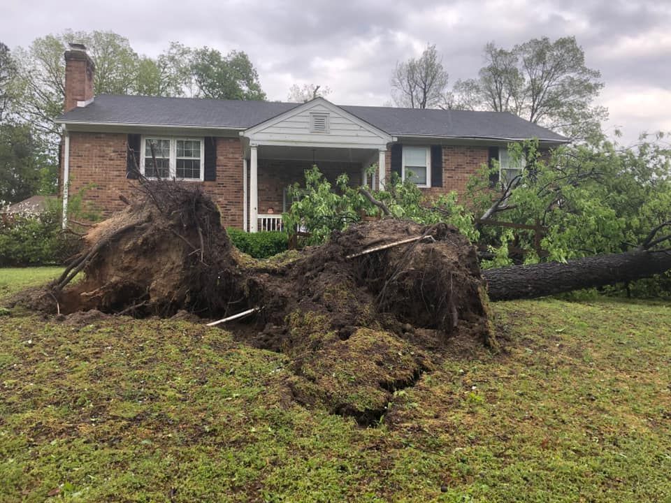 emergency tree removal services chesterfield va
