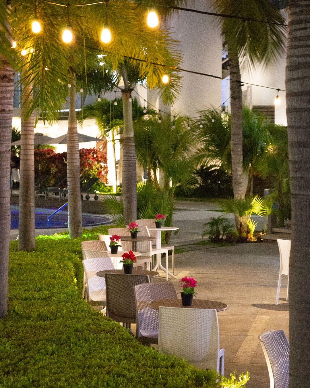 Área exterior en LD PLUS, Playa El Agua, Isla Margarita. Asientos cómodos con flores y acceso a la piscina.