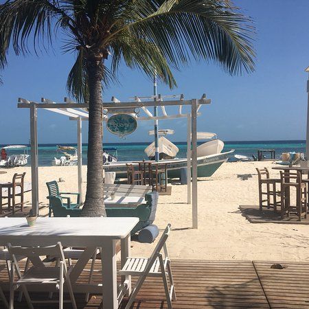 Restaurante Aquarena en Los Roques con vista al mar y ambiente relajado para disfrutar comidas y bebidas en la playa.