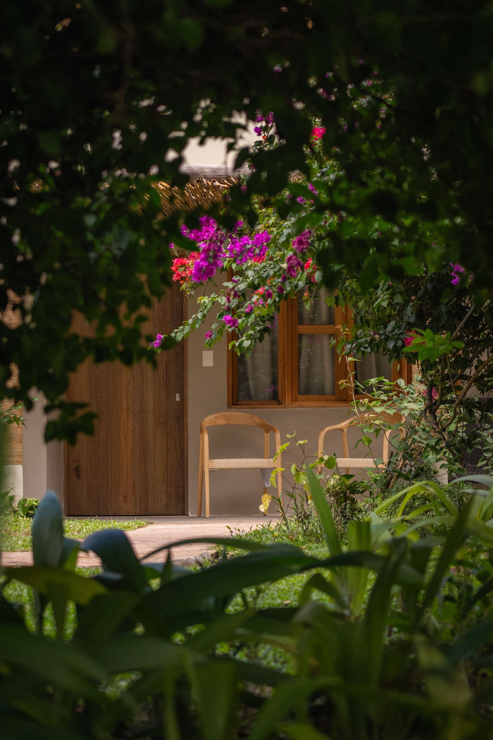 Un marco de puerta y ventana de madera de la fachada de Tapuy Lodge con flores violetas, vistas a través de un exuberante follaje verde característico de Canaima