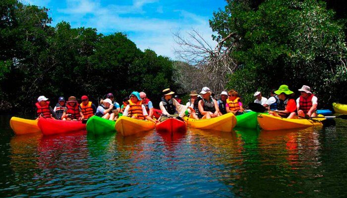 Grupo en kayaks coloridos disfrutando en las aguas de Isla Margarita, rodeados de naturaleza vibrante.