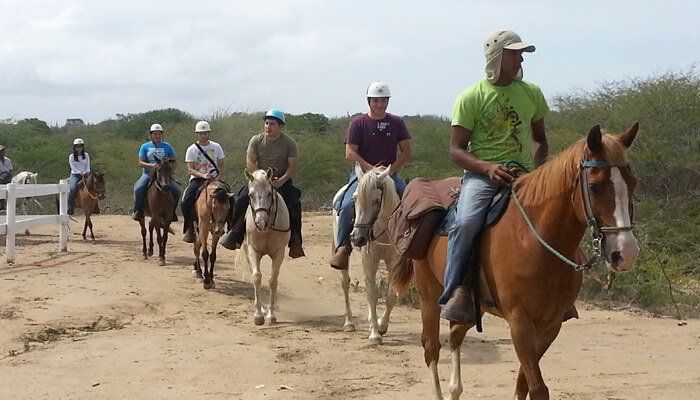 Excursión ecuestre en paisajes naturales de Isla Margarita, disfrute y aventura.