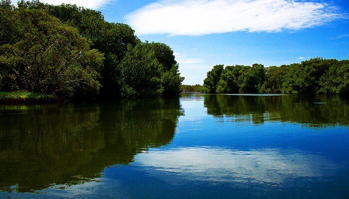 Laguna La Restinga: espejo de agua y naturaleza, reflejo de paz en Isla Margarita.