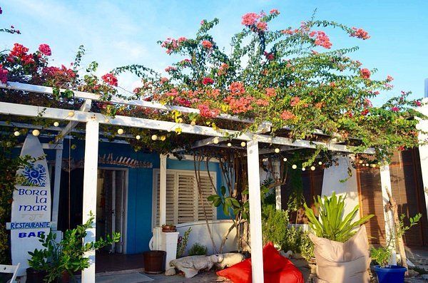 Restaurante Bora la Mar en Los Roques, con ambiente tropical y decoración costera, ideal para relajarse.